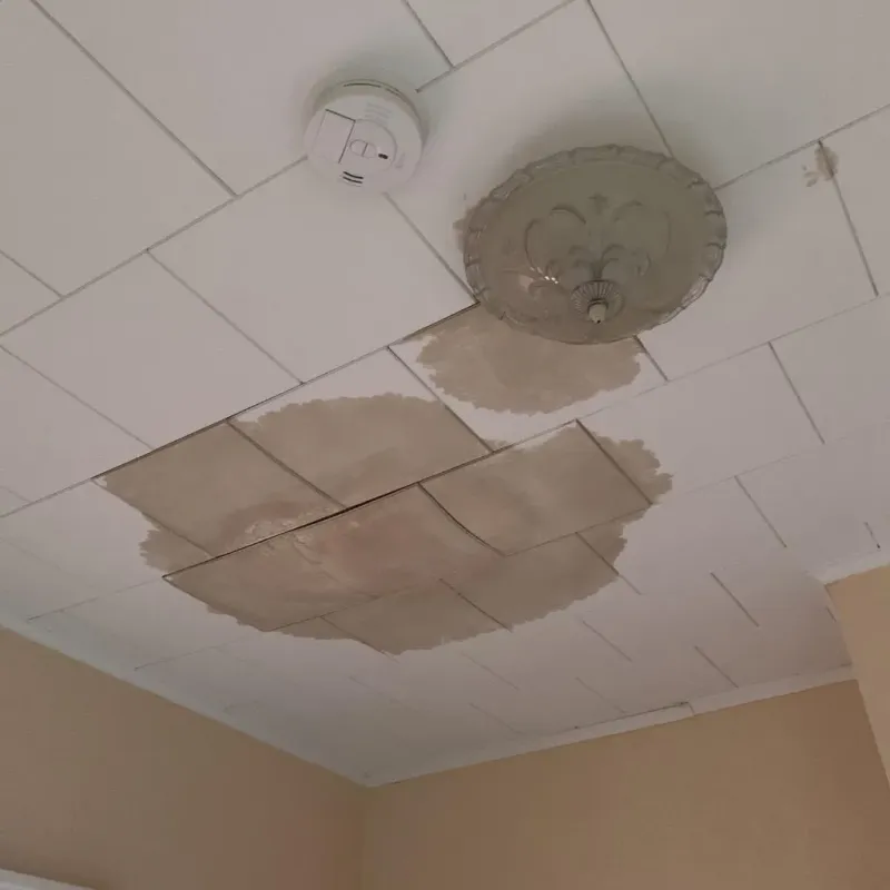Ceiling Water Damage Repair in Eglin Village, FL