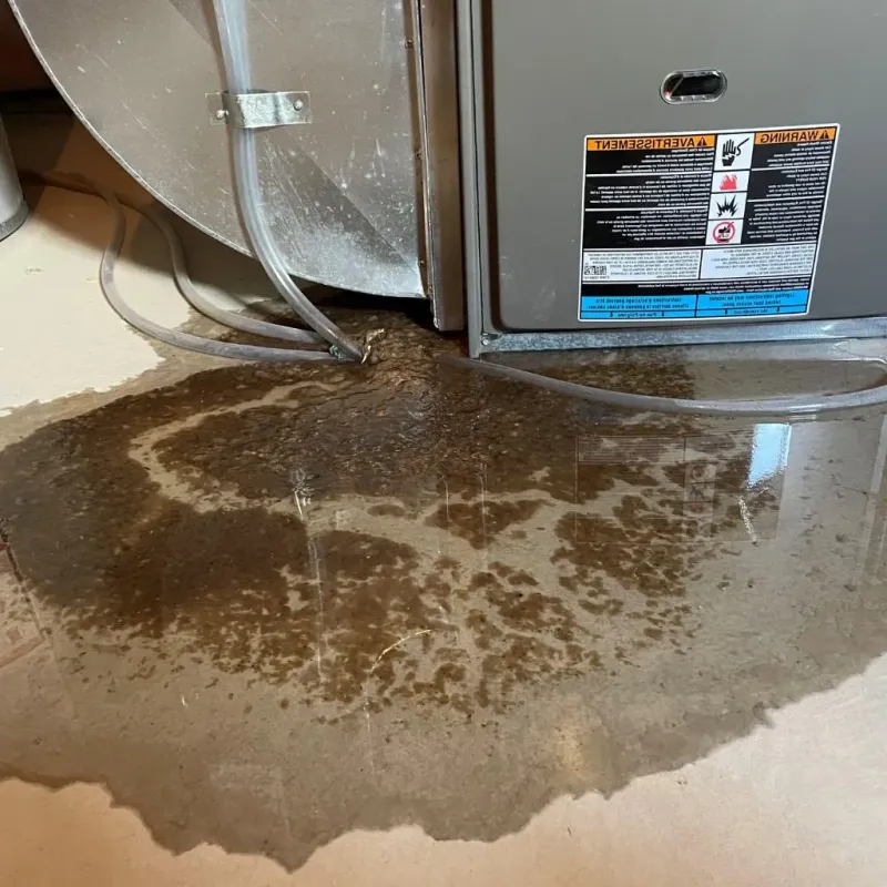 Pipe Burst and Leak Restoration in Eglin Village, FL
