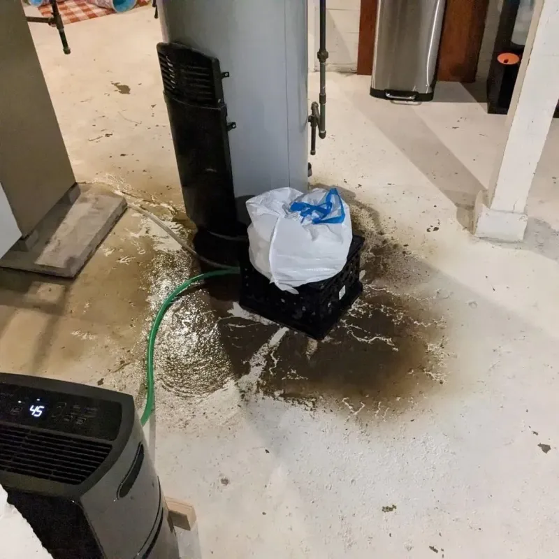 Sewage Backup Cleanup Service in Eglin Village, FL